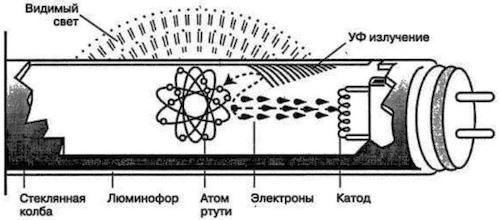 Световой поток люминесцентной лампы 18 вт. Конструкция люминесцентной лампы