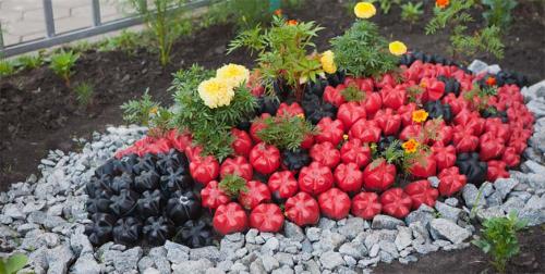 Дизайн дачи своими руками. Современный дизайн ландшафта 05 Дизайн дачи своими руками. Современный дизайн ландшафта 05
