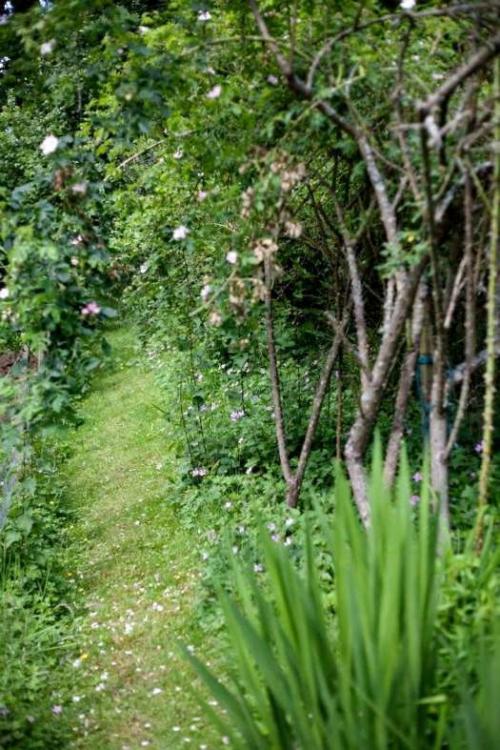 Бюджетный дизайн дачного участка. 15 бюджетных идей ландшафтного дизайна вашего участка