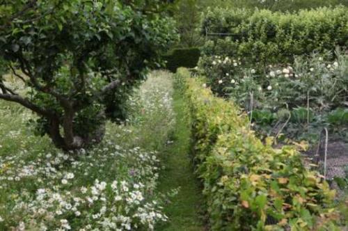 Бюджетный дизайн дачного участка. 15 бюджетных идей ландшафтного дизайна вашего участка