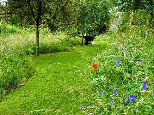 Бюджетный дизайн дачного участка. 15 бюджетных идей ландшафтного дизайна вашего участка