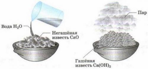 Применение извести для побелки погреба. Какой известью белить погреб: гашеной или негашеной, белой или цветной