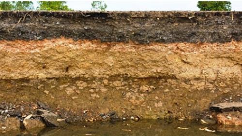 Забор с железными столбами. Вводная часть