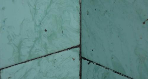 Можно ли укладывать мокрую плитку. Зачем при укладке плитки её смачивают и при использовании, какого клея нельзя это делать и почему