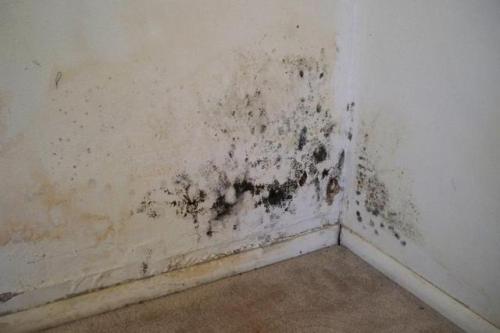 Как уложить плитку на стены в ванной своими руками. Этапы работ 21