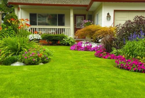 Проект красивого сада с нуля. Добавление статьи в новую подборку 08