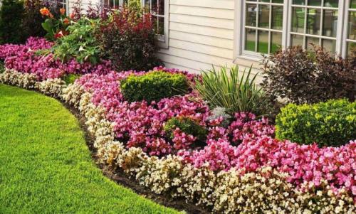 Проект красивого сада с нуля. Добавление статьи в новую подборку 06