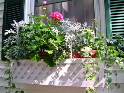 На окне горшок. Ящики для выращивания цветов за окном