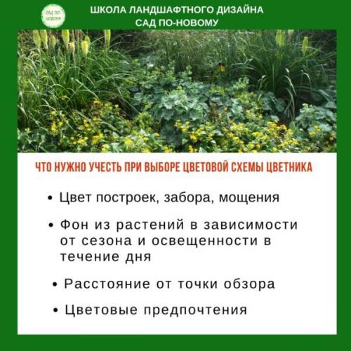 Как создать цветовой спектр для оформления дачного участка и сада, чтобы он был разнообразным и насыщенным. Как спланировать цветник. Шаг 1