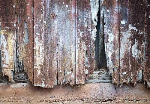 Деревянный забор: лучший выбор для дачного участка 01 Деревянный забор: лучший выбор для дачного участка 01