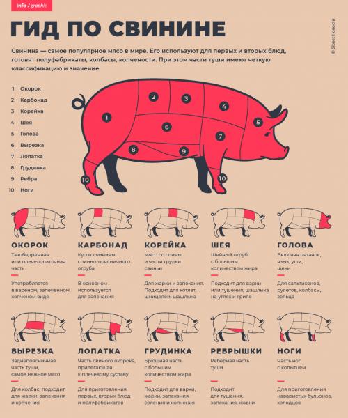 Какую часть мяса свиньи брать на отбивные. Гид по свинине: выбираем правильное мясо