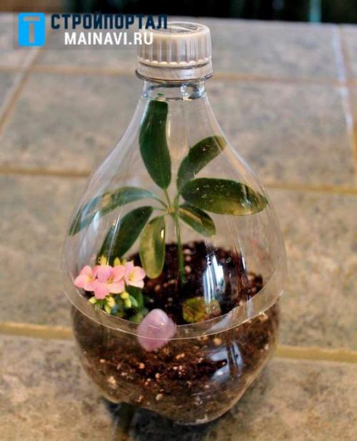 Простые поделки из пластиковых бутылок. Поделки из пластиковых бутылок