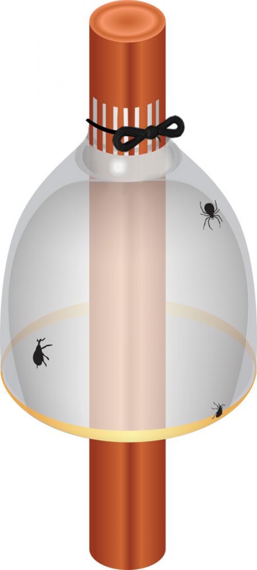 Какие садовые поделки можно сделать для защиты растений от вредителей. Дачные хитрости. Делаем этикетки для растений и ловчие пояса от вредителей