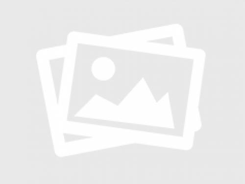 Улучшай свой сад с помощью этих 5 простых садовых поделок своими руками 27