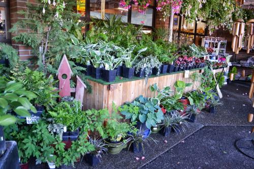 Как можно сделать садовый декор на дачном участке безопасным. Декорирование хозяйственных построек