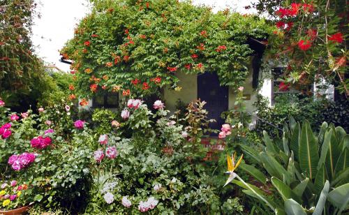 Как можно сделать садовый декор на дачном участке безопасным. Декорирование хозяйственных построек