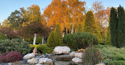 Октябрьский сад: 5 деревьев, которые нужно посадить сейчас 02 Октябрьский сад: 5 деревьев, которые нужно посадить сейчас 02