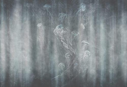 Как отмыть обои от пыли. Как почистить обои от грязи, пятен и пыли