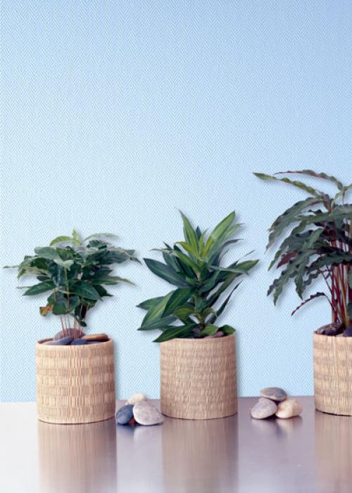 Все, что нужно знать о стеклообоях: от их назначения до выбора 20