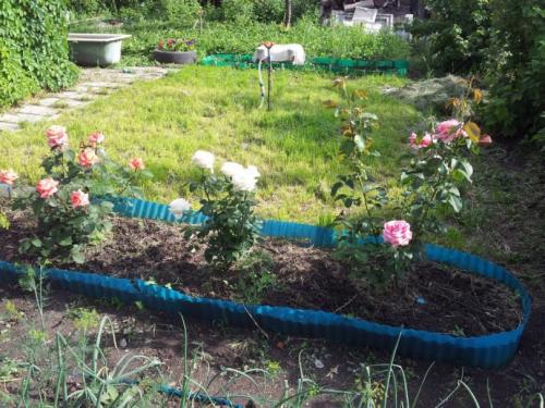 Поделки из пластиковых бутылок для клумбы. Клумба из бутылок — мастер-класс изготовления оригинальных клумб. 120 фото оформления клумбы при помощи пластика