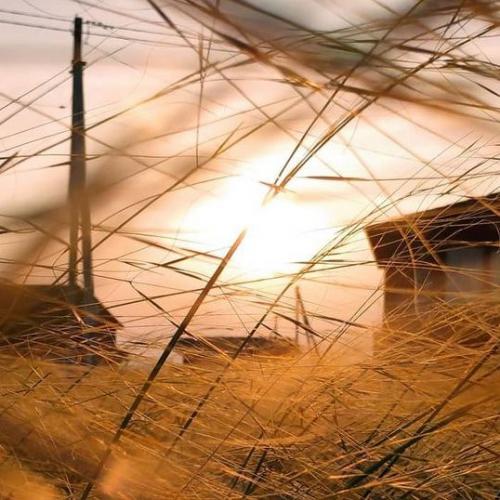 Что вы думаете о работе дизайнера Аллы Клиновской. Лучший ответ