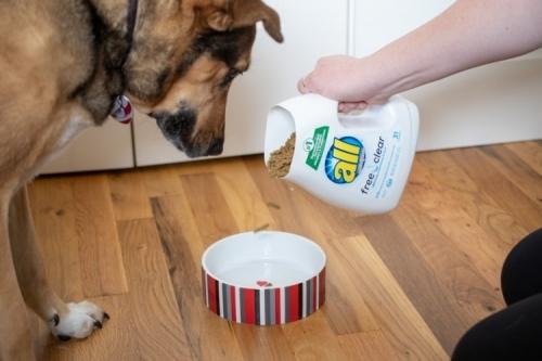 17 гениальных идей вторичного использования пластиковой тары 36 17 гениальных идей вторичного использования пластиковой тары 36