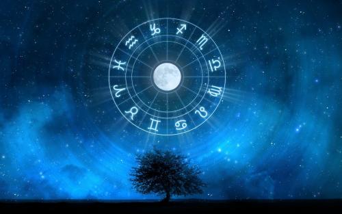 Лунный календарь 2023: лучшие дни для посадки кустарников 03 Лунный календарь 2023: лучшие дни для посадки кустарников 03