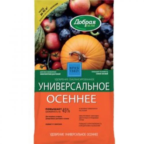 Какие растения лучше всего выбрать для посадки в октябре в зависимости от освещения. Посадка луковичных осенью