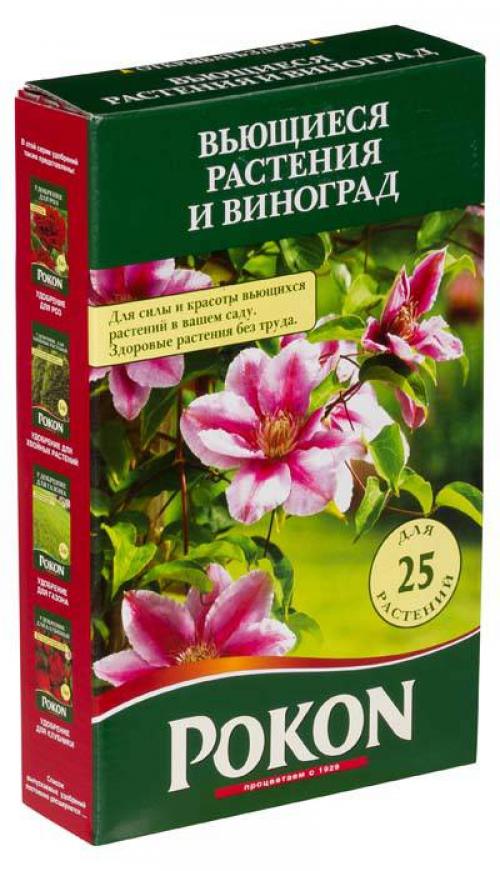 Вертикальное озеленение: многолетние цветущие лианы для украшения вашего дома 07 Вертикальное озеленение: многолетние цветущие лианы для украшения вашего дома 07