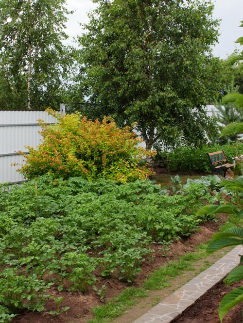 Как можно сделать дачу более функциональной. Уютные сотки. Как сделать дачный участок ухоженным и функциональным