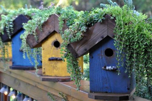 Какие декоративные элементы можно использовать для украшения дачи. Функциональный декор