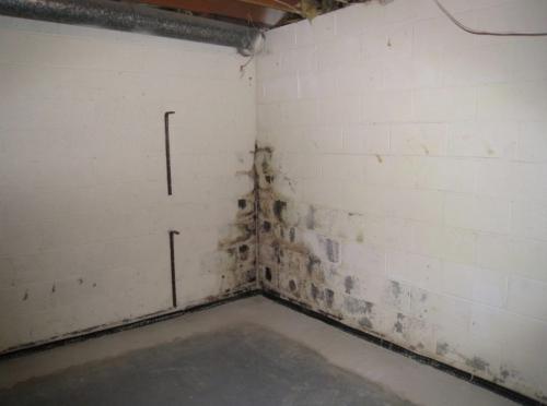 Устройство подвала в частном доме. Определение местоположения и глубины погреба 07