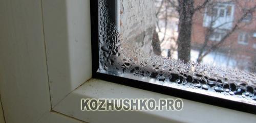 Почему в квартире потеют пластиковые окна и как с этим.. Как исправить, если запотело пластиковое окно между стекол — лучшие решения 10 Почему в квартире потеют пластиковые окна и как с этим.. Как исправить, если запотело пластиковое окно между стекол — лучшие решения 10