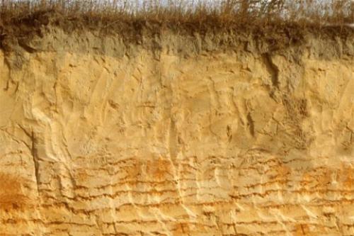 Калькулятор монолитной плиты фундамента KALK.PRO: все, что нужно знать о расчете фундамента 01 Калькулятор монолитной плиты фундамента KALK.PRO: все, что нужно знать о расчете фундамента 01