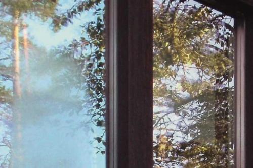 Почему потеют пластиковые окна между стеклами. Почему стеклопакет потеет внутри между стеклами