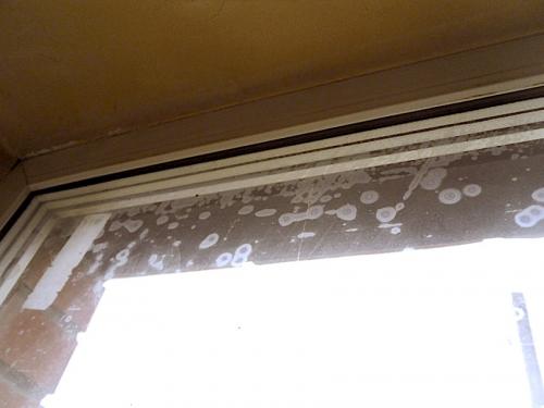 Почему потеют пластиковые окна между стеклами. Почему стеклопакет потеет внутри между стеклами