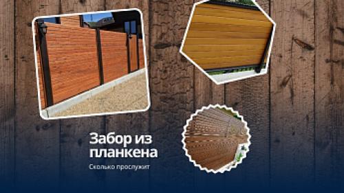 Деревянный забор для дачи: как выбрать и установить 01