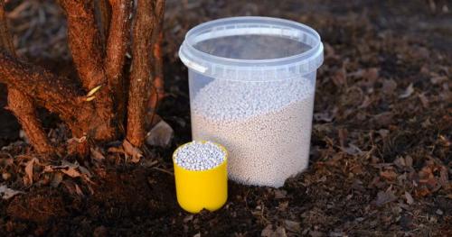 Какие плодовые деревья лучше выбрать для осеннего сада в зависимости от удобрения. Какими удобрениями подкармливать плодовые деревья осенью