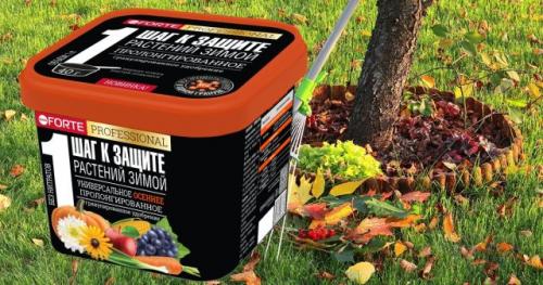 Какие условия необходимо создать для плодовых деревьев, чтобы они хорошо росли осенью