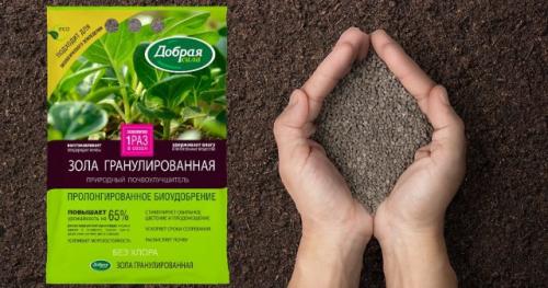 Какие плодовые деревья лучше выбрать для осеннего сада в зависимости от удобрения. Какими удобрениями подкармливать плодовые деревья осенью