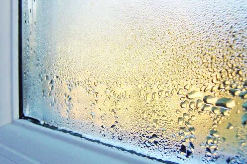 Почему потеют пластиковые окна между стеклами. Почему стеклопакет потеет внутри между стеклами
