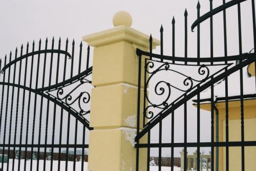 Красивые кованые заборы в частных домах. Кованые заборы — варианты красивых оформлений и конструкций металлических оград (95 фото)
