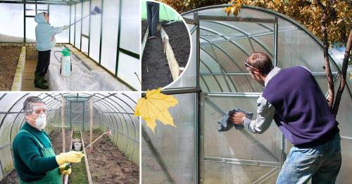 Гашеная известь для томатов. Необходимость в известковании грунта