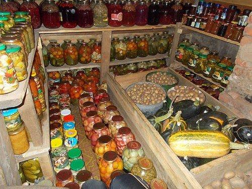 Как просушить подвал в частном доме. Правила предварительной сушки подвала