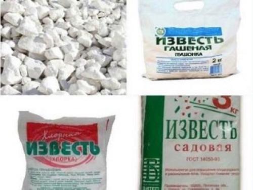 Негашеная известь и ее применение в саду и огороде. Какую известь нужно вносить в грунт 14
