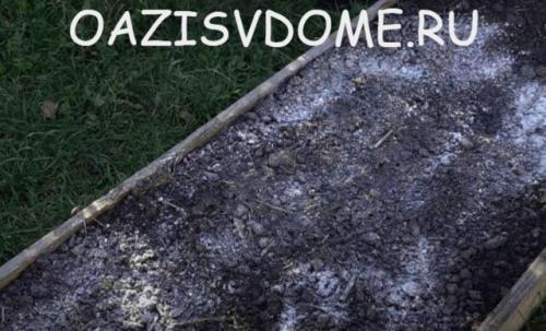 Обеззараживание почвы известью. Какую известь и как использовать для раскисления почвы, побелки теплиц и деревьев