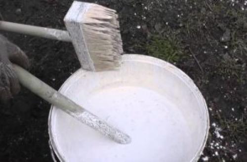 Как гасить известь для побелки стен. Какая побелка лучше – известью или мелом?