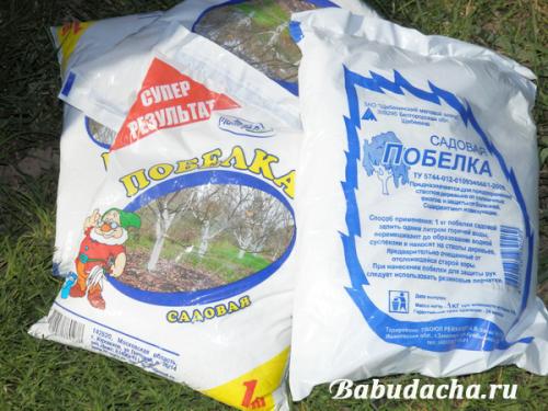 Как развести известь для побелки деревьев весной?