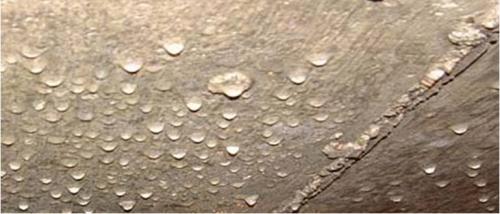 Почему потеет вытяжная труба в погребе. Как устранить конденсат и сырость в подвале или погребе