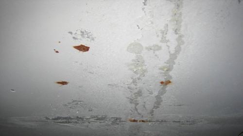 Сколько слоев водоэмульсионки можно наносить на потолок. Покраска потолка водоэмульсионной краской – этапы работ полезные советы